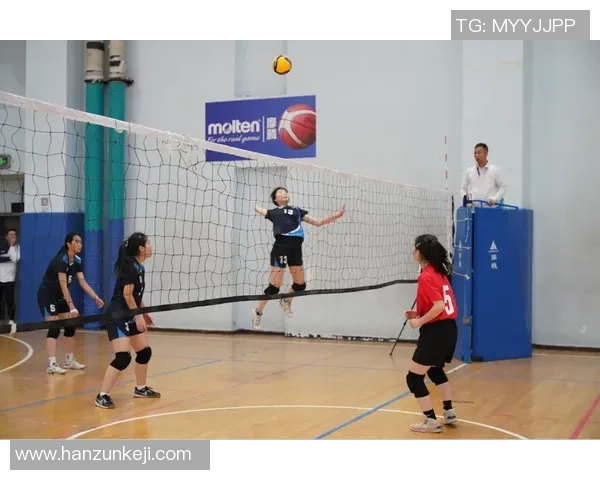 武汉排球队的拼搏之路精英赛背后的奋斗与荣耀